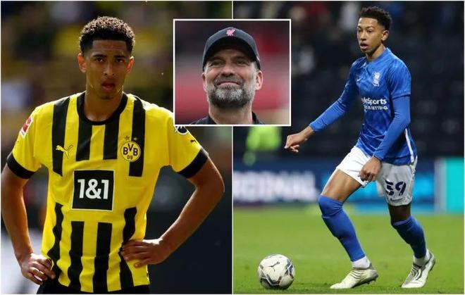 新规则适应情况不同